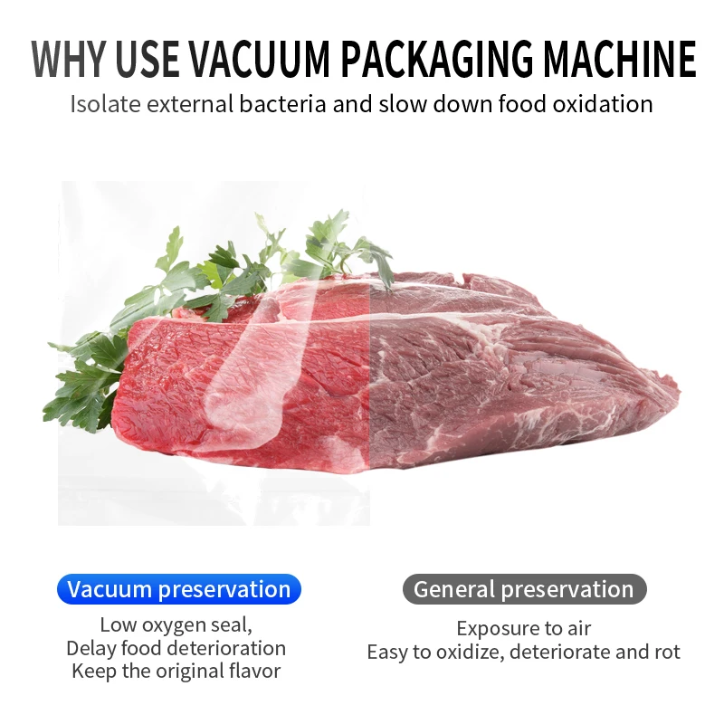 BN Automatic Vacuum Packer Sealing Machine Single Chamber Vacuum Packing Machine For Food Commercial