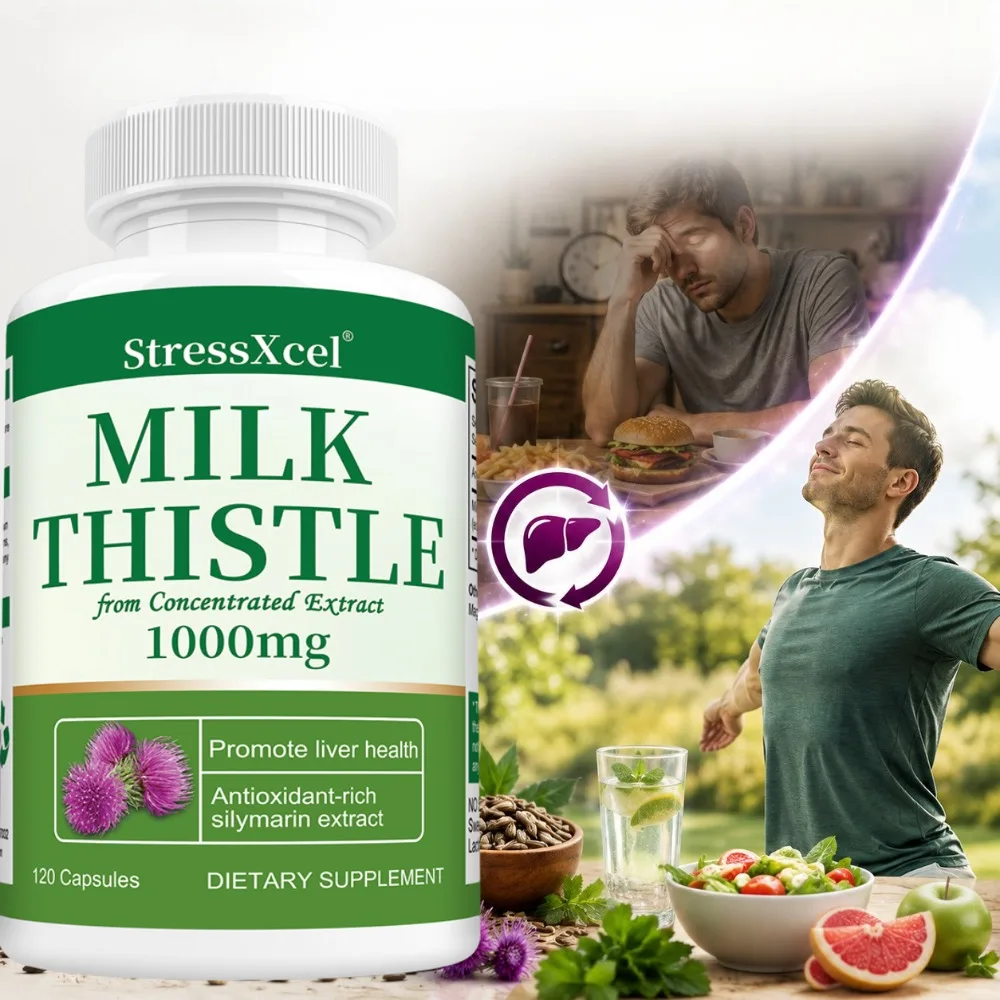 Milk Thistle From Concentrated Extract - Silymarin, Promote Liver Health, Antioxidant