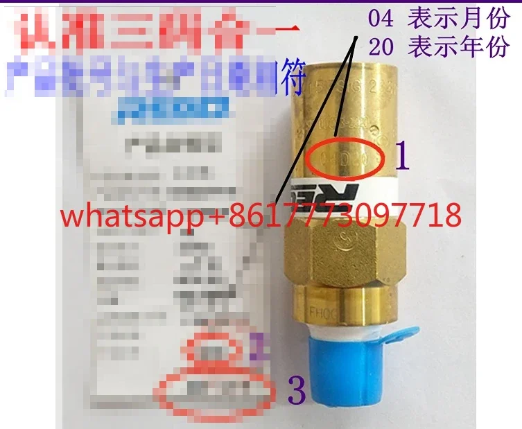 

U.S. REGO safety valve low temperature LNG cylinder pressure relief valve PRV9432TP