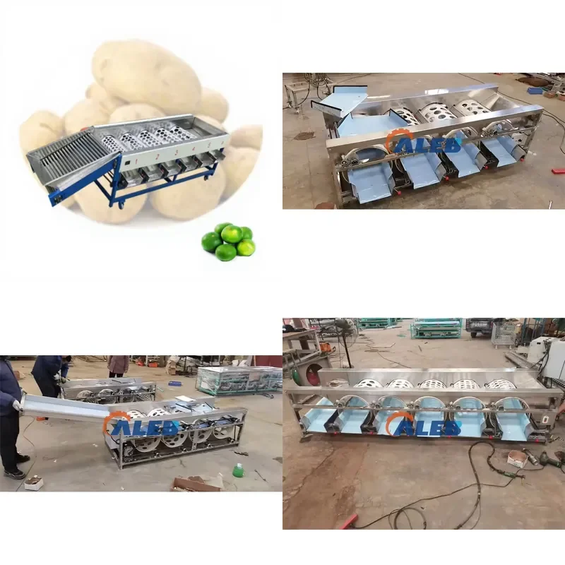 SFW Certificate Automatic Berry Sorter for Blueberry Cherry Olive - Gentle Size and Color Grading Machine for Delicate Fruits