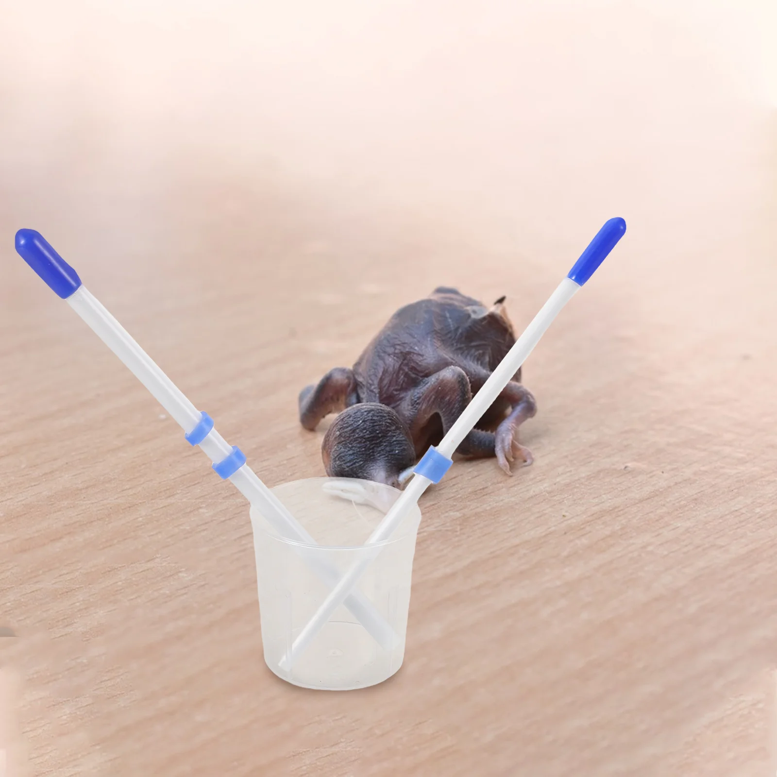 

1Set Bird Feeder Injector Plastic Feeding Tools for Chicks Ducks Quail Poultry Food Injector Cups Industrial Labs