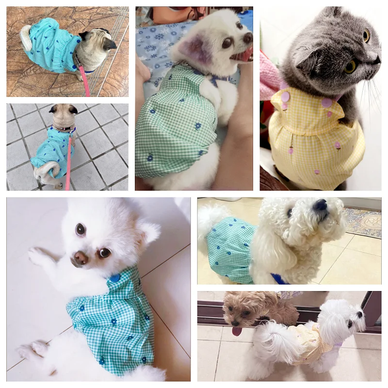 Thumbnail 2 - #32 Trending Pet Apparels Right Now