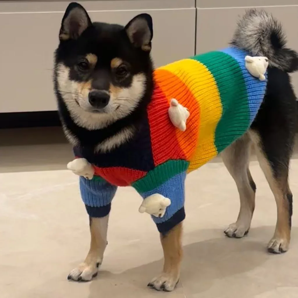 New Rainbow Pet Sweater Dog Clothes Autumn Winter Warm Cute Crewneck Sweater For Dogs Cats Schnauzer Shiba Inu Bullfighting Bear