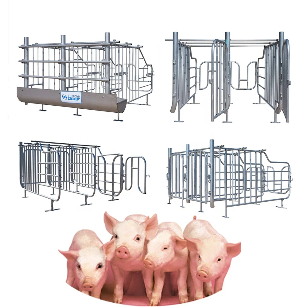 Pig Pregnancy Crate Pig Equipment Pig Pregnancy Crate