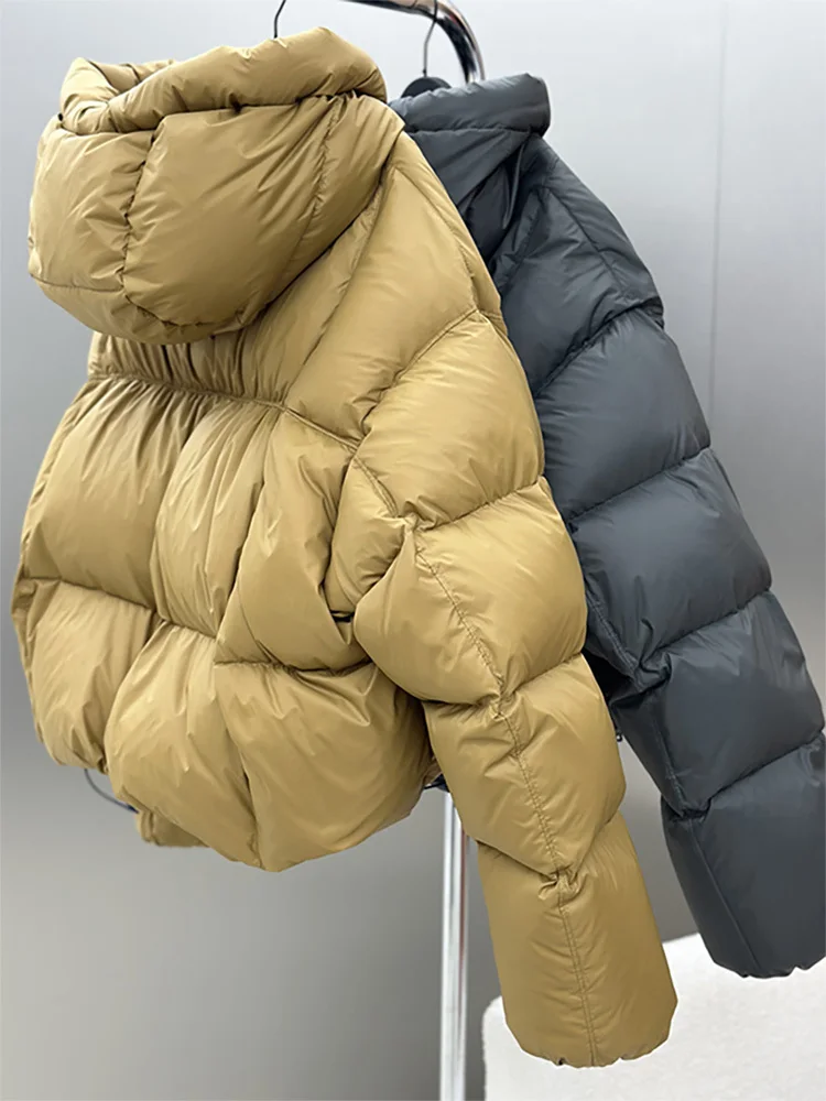 Veste décontractée à capuche courte pour femme avec col montant, manteau femme, épais, chaud, extérieur, automne, hiver, nouveau, 2025