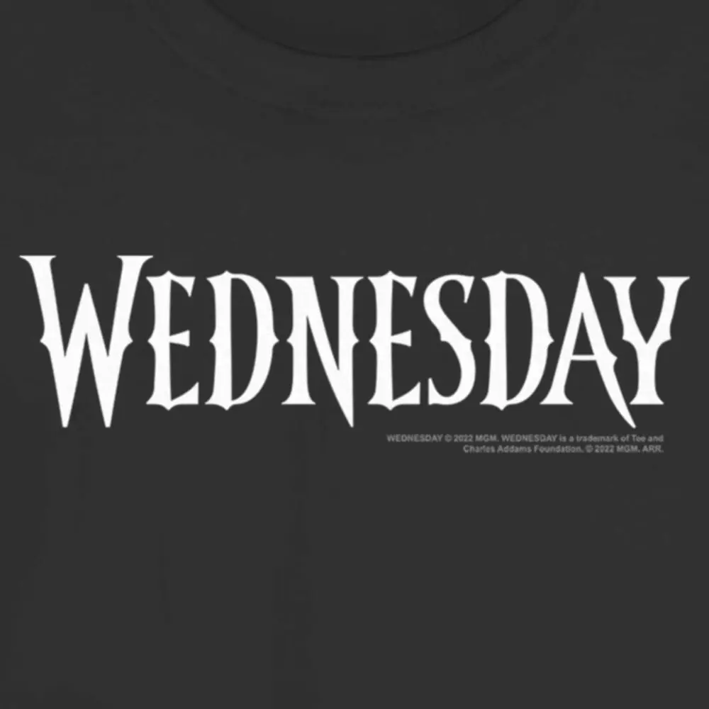 Junior's Wednesday Simple Logo T-Shirt