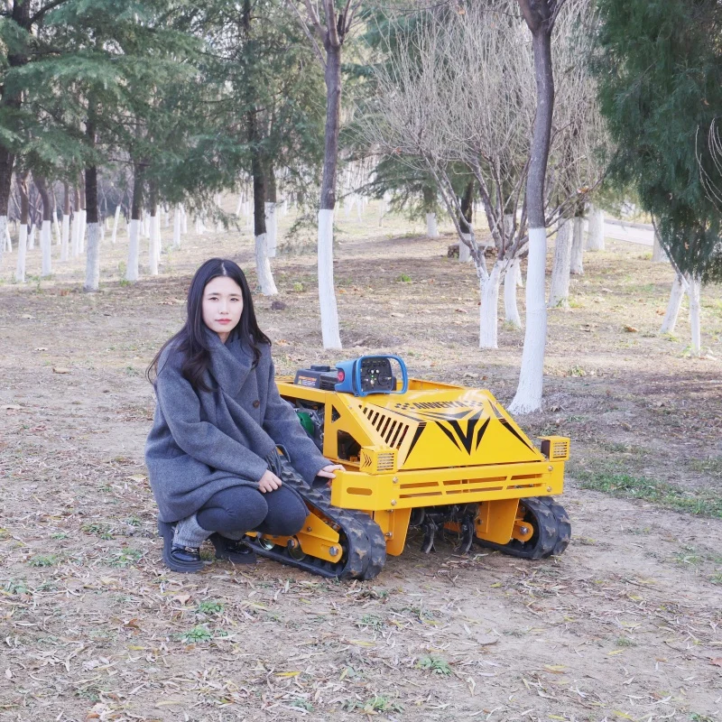 Customizable Landsc… - image