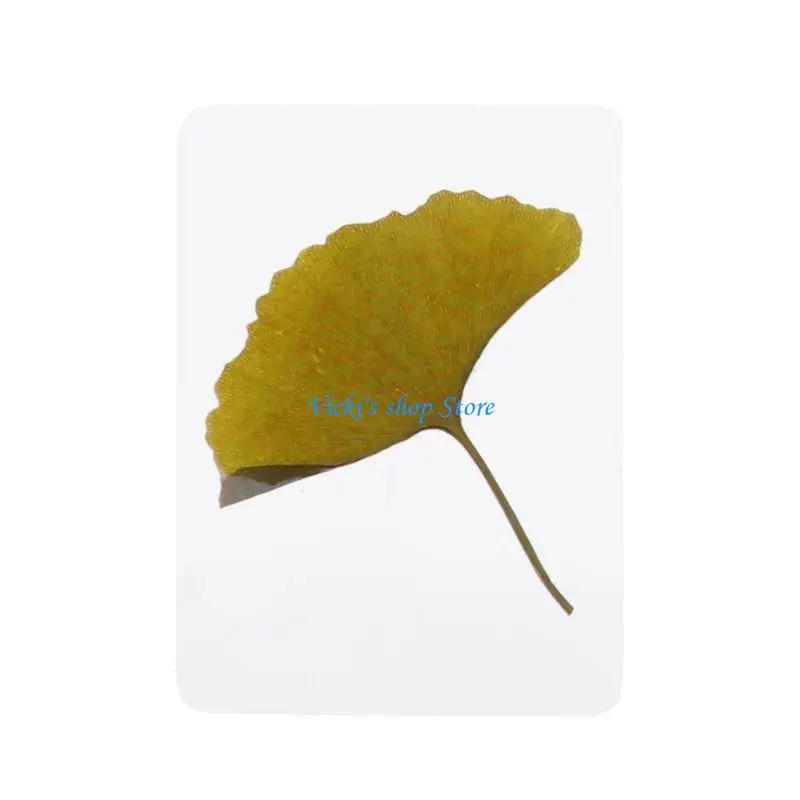 الأوراق المجففة الطبيعية مزيج الصحافة زهرة أوراق النبات عينة DIY بها بنفسك الراتنج الحرف