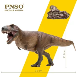 PNSO 1/35 Tyrannosaurus Rex Cameron Model Prehistoric Animal Museum Dinosaur Collector Scietific Art Decor  Educational Toy