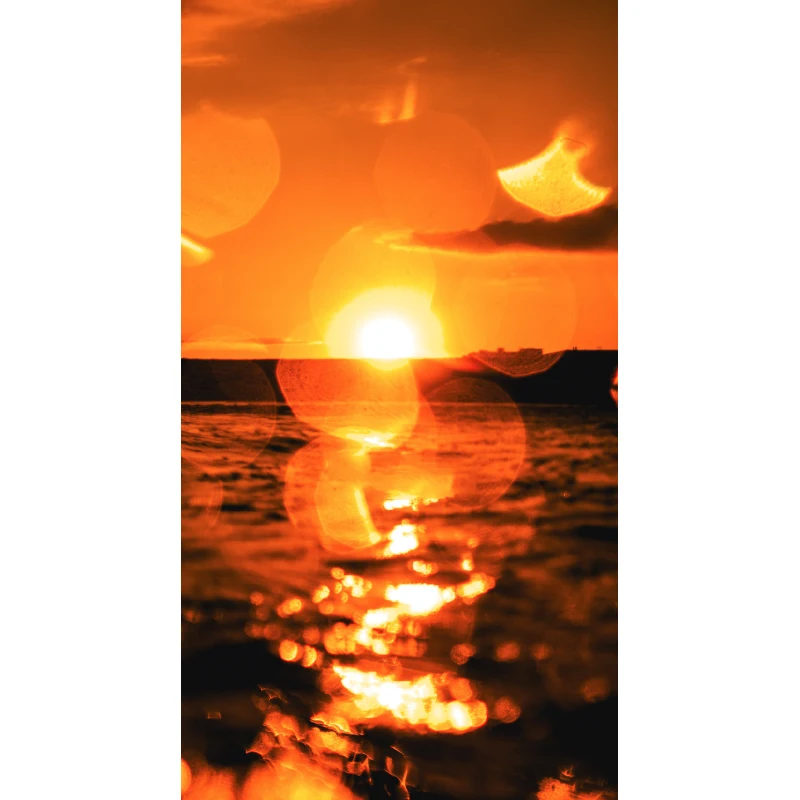 50/100 Stück Luftpolsterversandtaschen, gepolsterte Versandumschläge, Versandtaschen aus Poly für Verpackungen, selbstklebende Versandtaschen, Luftpolstertaschen