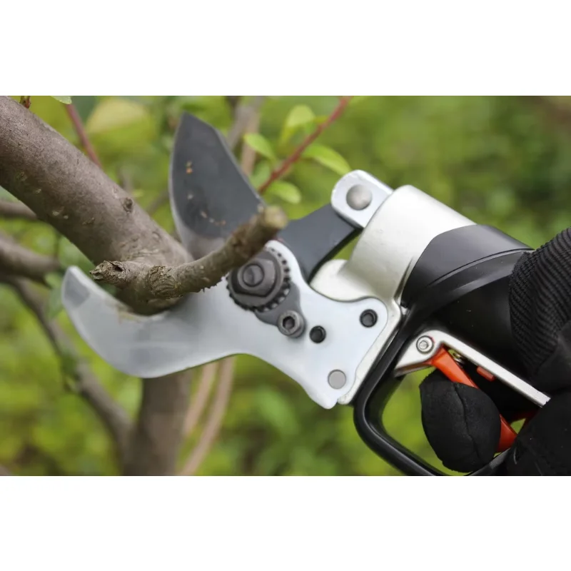 

2025 45mm Cutting Diameter Electric Pruning Shear with Powerful Lithium Battery Professional Pruner