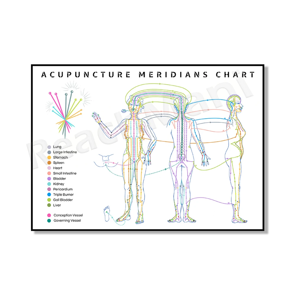 Acupuncture Meridian Diagram, ELEMENTS TCM Poster, Principles and Fundamentals, Acupuncture Art TCM Pranic Healer Gift