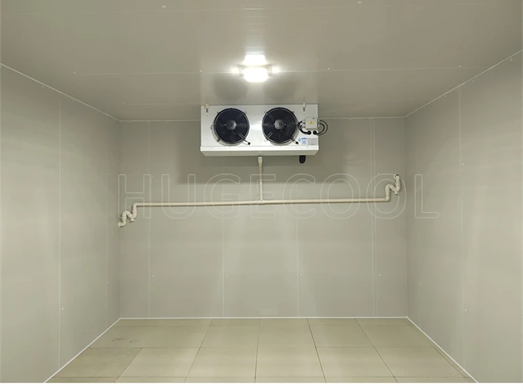 Conservazione personalizzata della stanza fredda ad alta efficienza Camminata nel congelatore Sala di congelamento per pesci, frutta e verdura