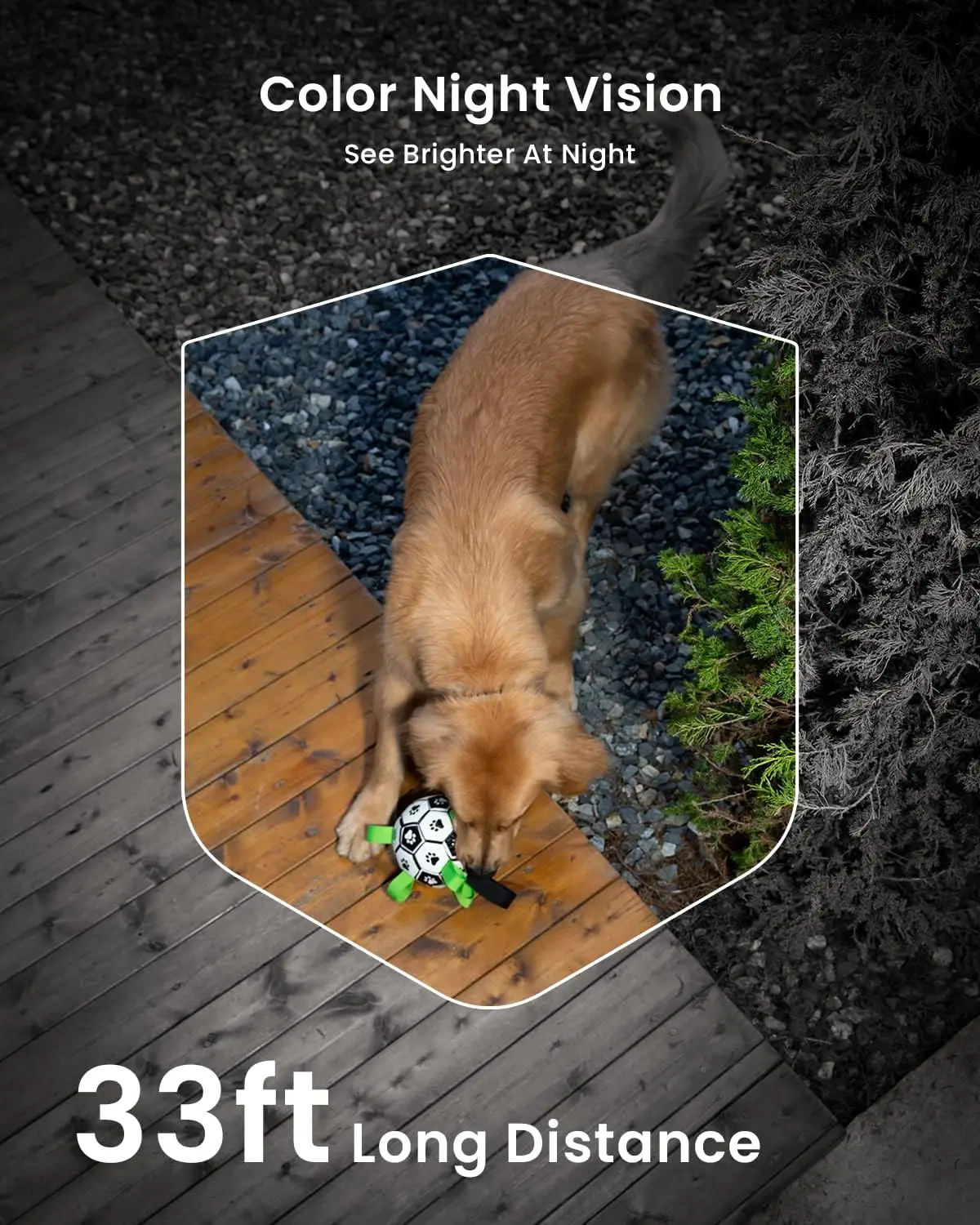 ieGeek2K WIFI Security Camera with 1.5W Solar Panel ， Night Vision Color, AI Motion Detection, Bi-Directional Audio，Alexa/IP65