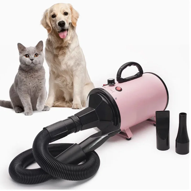 Car Beauty Hot Air Dryer Water Blowing Dryer Engine Compartment Cleaning 4S Beauty Electric Silent Cat And Dog Hair Drying Tool