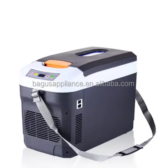 22L Car Refrigerator Cooler Warmer Electric Car Fridge Portable Compact Camping Cooler Thermoelectric Small Fridge