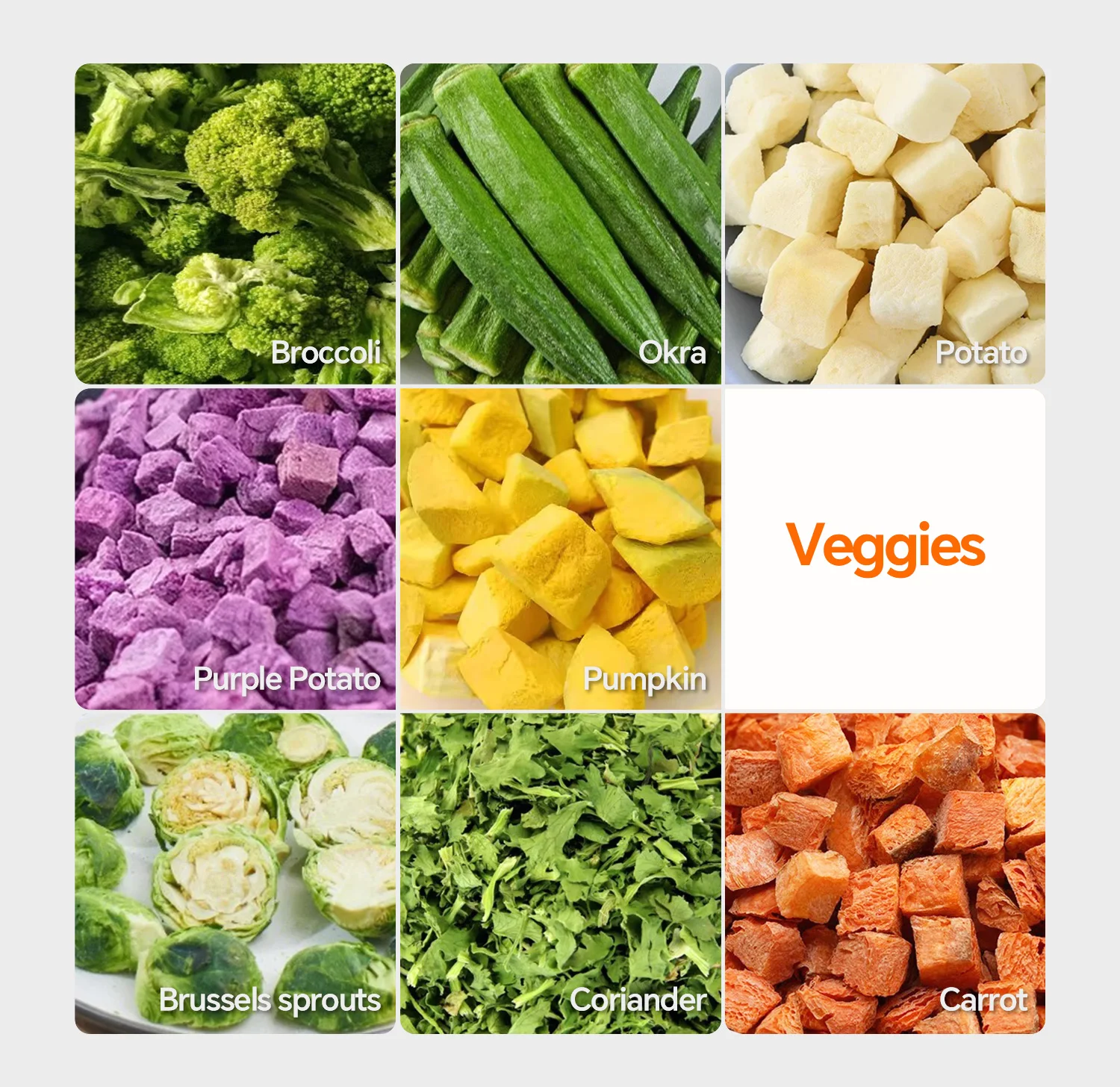 Factory Manufacturer 20kg Lyophilizer Vacuum Automatic Food Machine Home Freez e Dryer