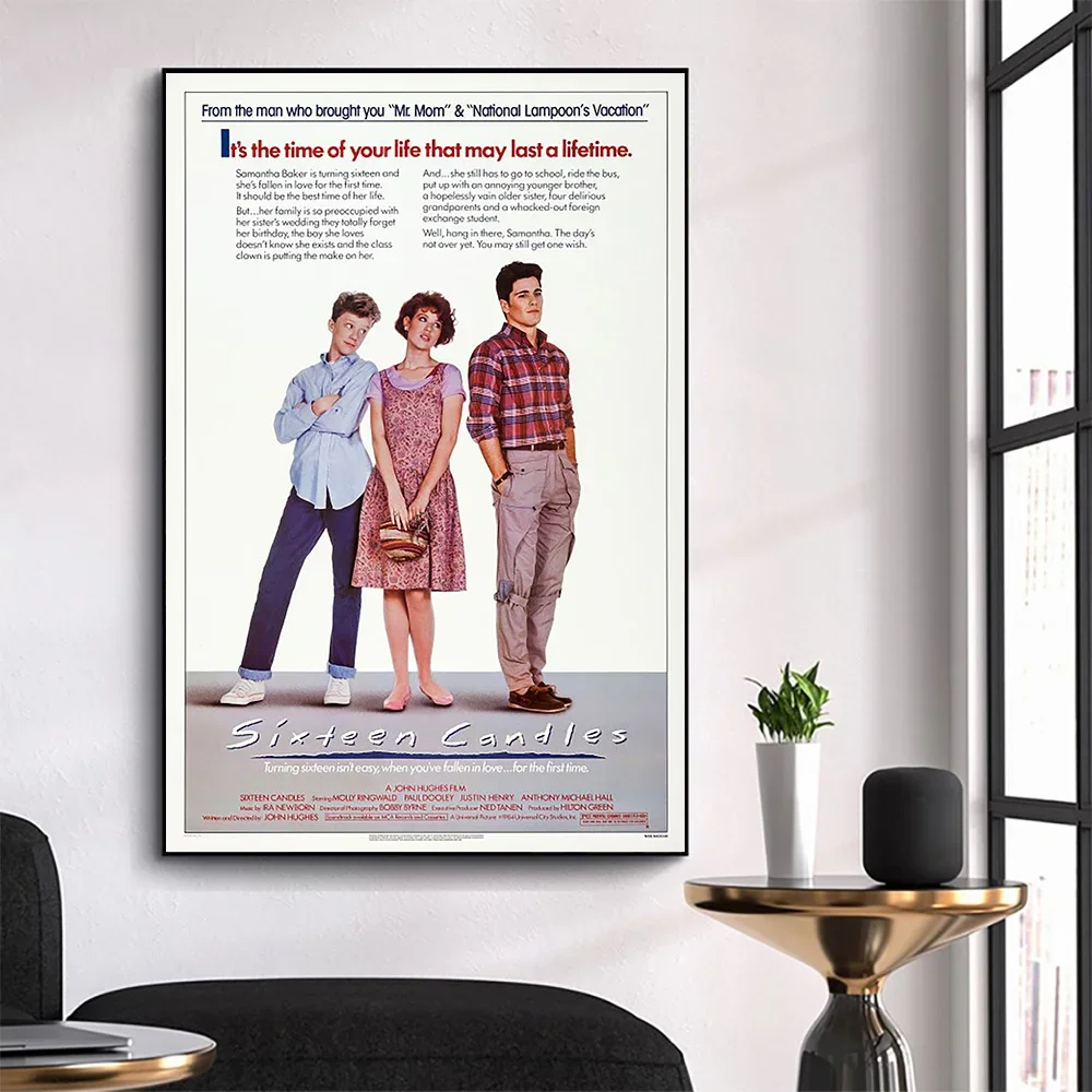 WM3048 Sixteen Candles Wonderful Classic Movie HD Silk Fabric Poster Art Decor Indoor Painting Gift