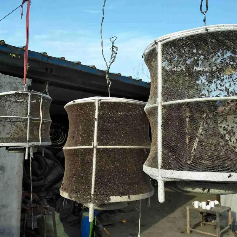 【HG】Fly Trap Cage Hanging  Catcher Net Portable Fold  Trap For Outdoor Garden Orchard Vegetable Farm Reusable Fly Mesh