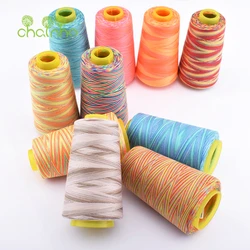 Chainho,3000Yard/Spools,402 Multicolored Sections Dyeing Polyester Thread,Suitable Quilting,Needlework Household Sewing Machine