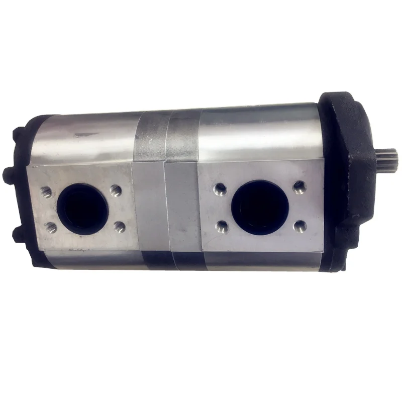 

Hydraulic Double Gear Pump Forklift Spare Parts Hydraulic Gear Pumps For Construction And Agriculture