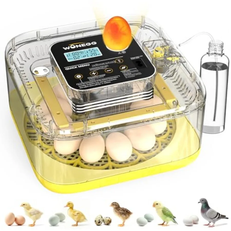 

Incubator for Hatching Eggs 12 Eggs Incubator with Automatic Egg Turning Temperature and Humidity Control LED Egg Candler Incub