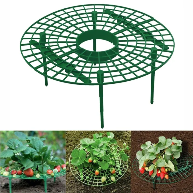 A01F-Plastic Half Circle Interlocking Garden Tool-Strawberry Support Stand(10Pcs) For Balcony Pot Planting
