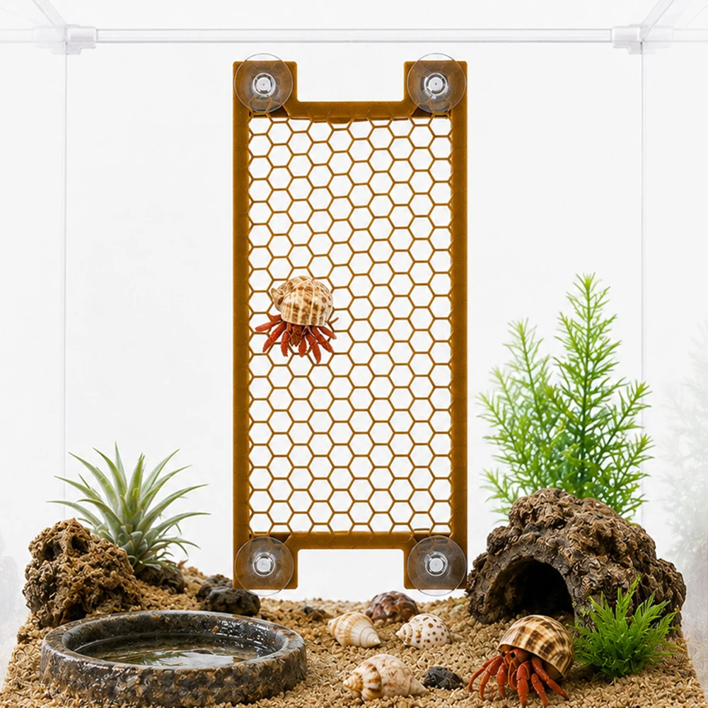 Hermits Crab Ladder Climbing Toy Habitats Layouts Climbing And Exploration Landscaping Small Animal Accessories