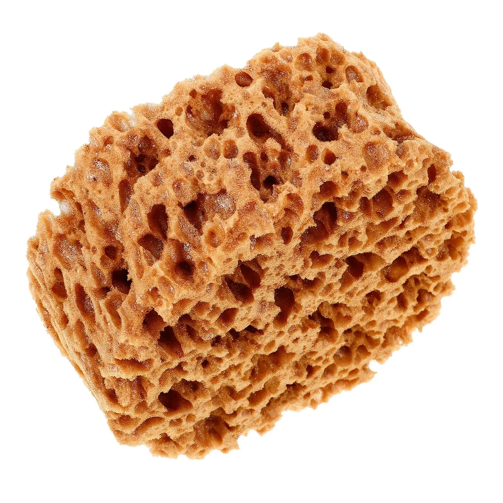 Seaweed Sponge Tool Natural Sponges for Acrylic Painting Drywall Texture Round Patch Sponge Paint Sponges Versatile