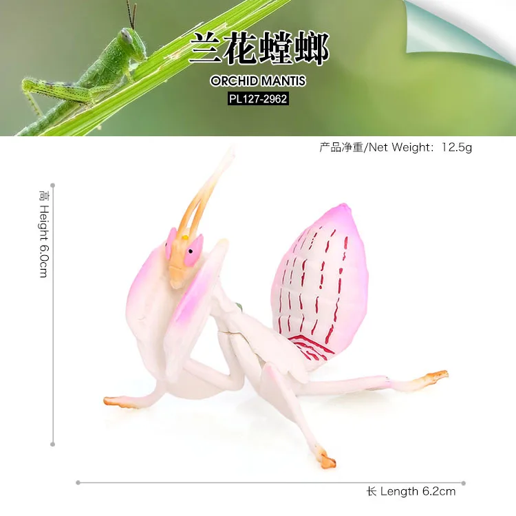 Children's cognitive simulation insect model science and education props orchid mantis giant leaf bug animal toy decoration