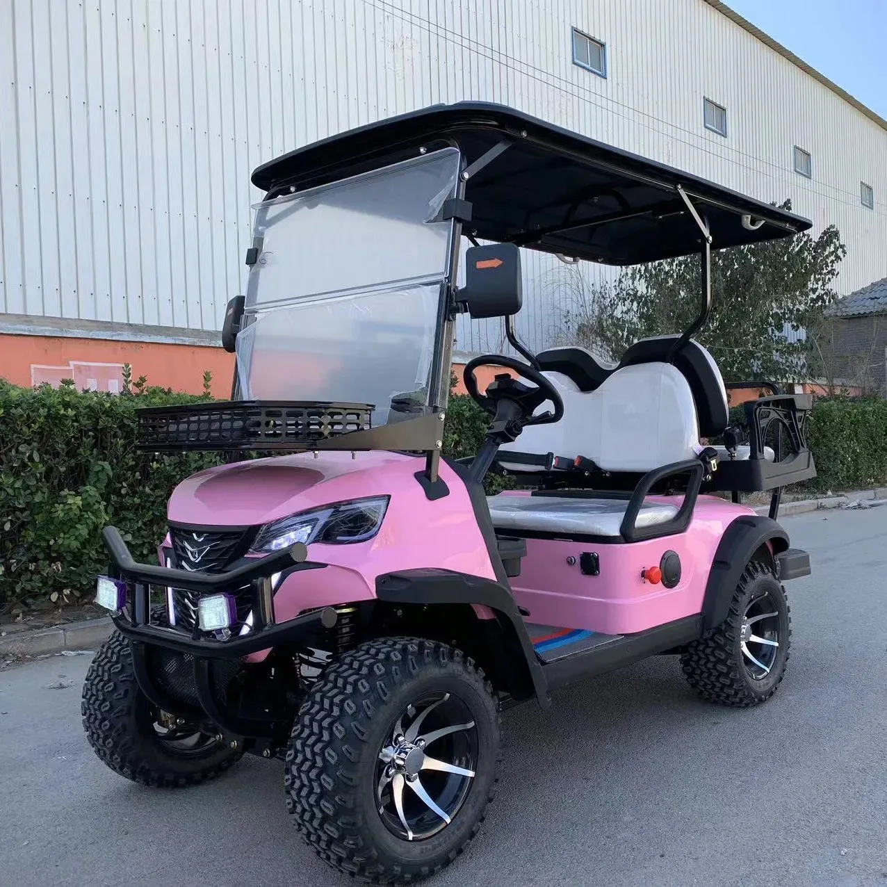 Barbie Pink Golf Cart 48V 60V Electric 4 Seats Hunting Golf Cart Buggy for Families Outdoor Activities