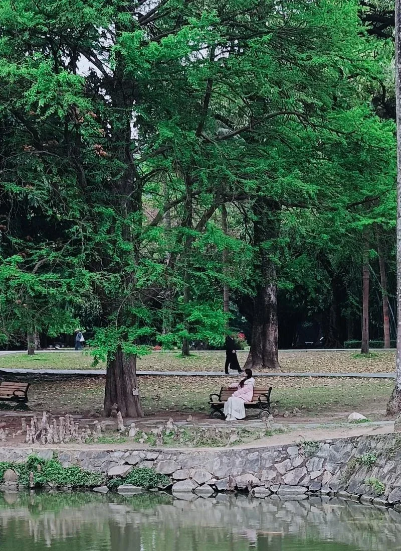 

For Xiaopeng G9 Refinish Pen Nebula White Crescent Silver Special FOR XPeng Motors Supplies