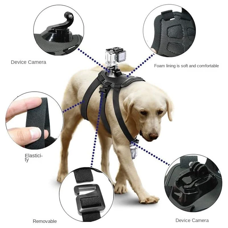 Imbracatura per cani Gopro, supporto per imbracatura per cani Gopro morbido e regolabile per cani di taglia grande, media e piccola può essere