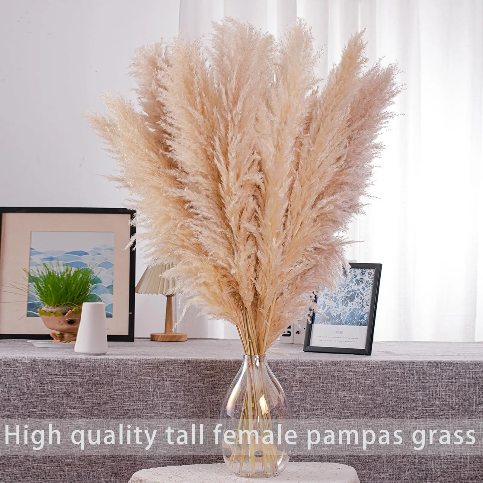 10Stems Natural Pampas Grass Tall Decor - Dried Large Long Pompas Grass Boho for Floor Vase Wedding Flowers Home TableRoom Decor