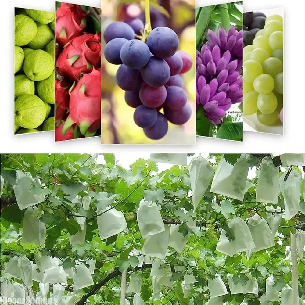 50/100Pcs Protection Bags Anti-Bird Insect Prevention Cover Fruit Vegetables Nonwoven Fabric Mesh Net Garden Supplies