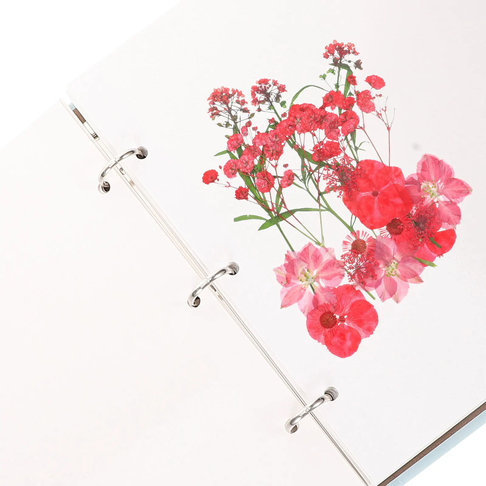 

Decorative Pressed Flower Album Loose-Leaf Dried Flower Storage Binder Diy Specimen Book For Plant Collection Craft Art