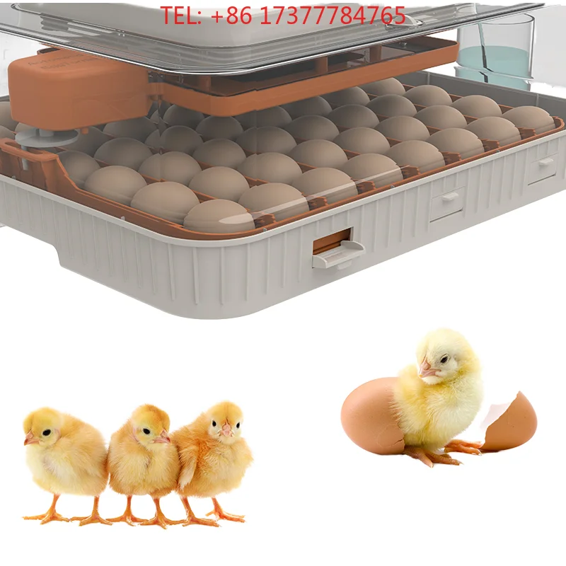 WONEGG High Quality Automatic Turning 56 Chicken For Sale