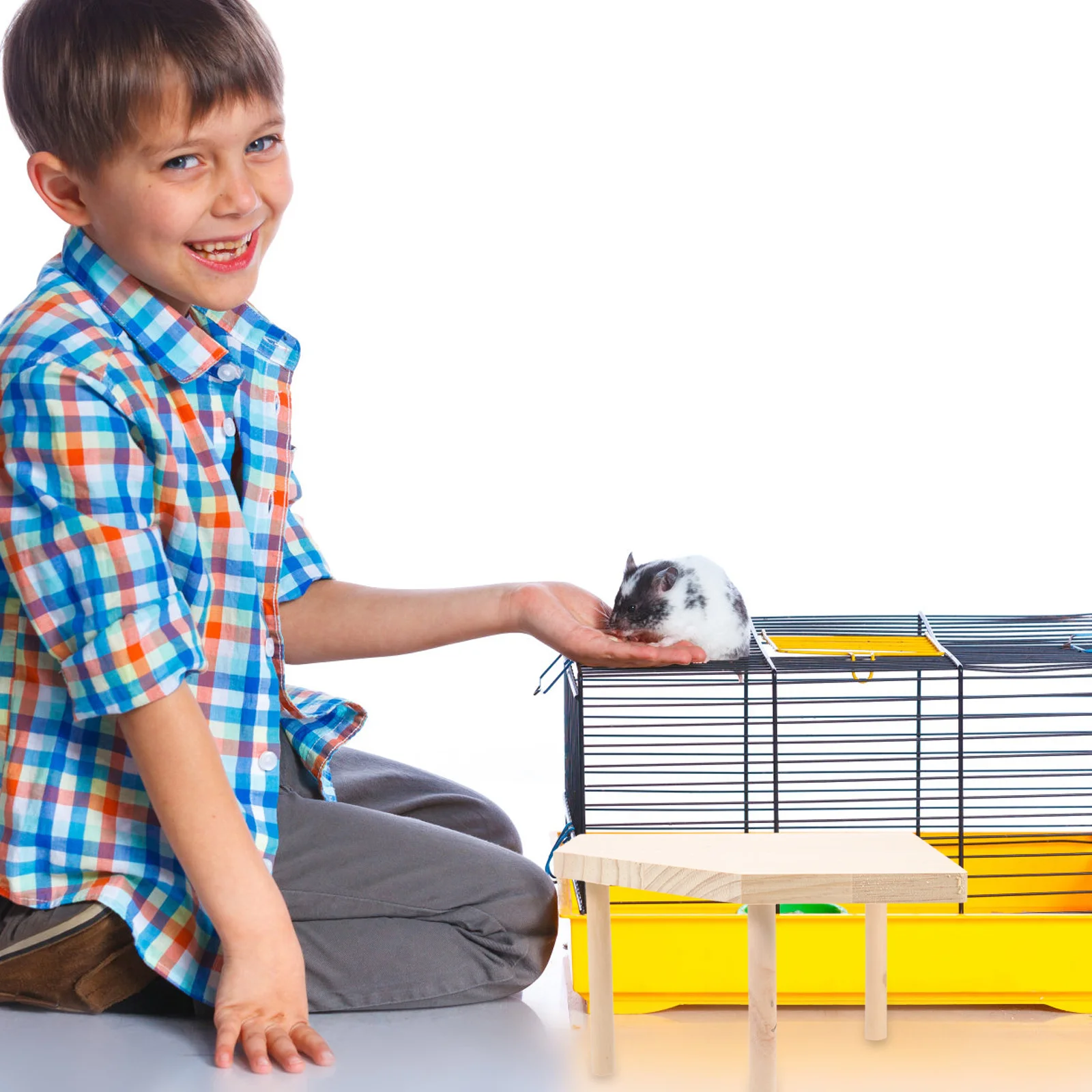 

Wooden Hamster Platform Cage Play Stand Heavy Duty Natural Material Scratch Resistant Surface Multi Purpose Climbing Landscape