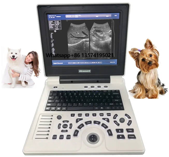 

Vet Animals Professional Ultrasonic Scanner Portable Veterinary Full Digital Diagnostic System Ultrasound Machine