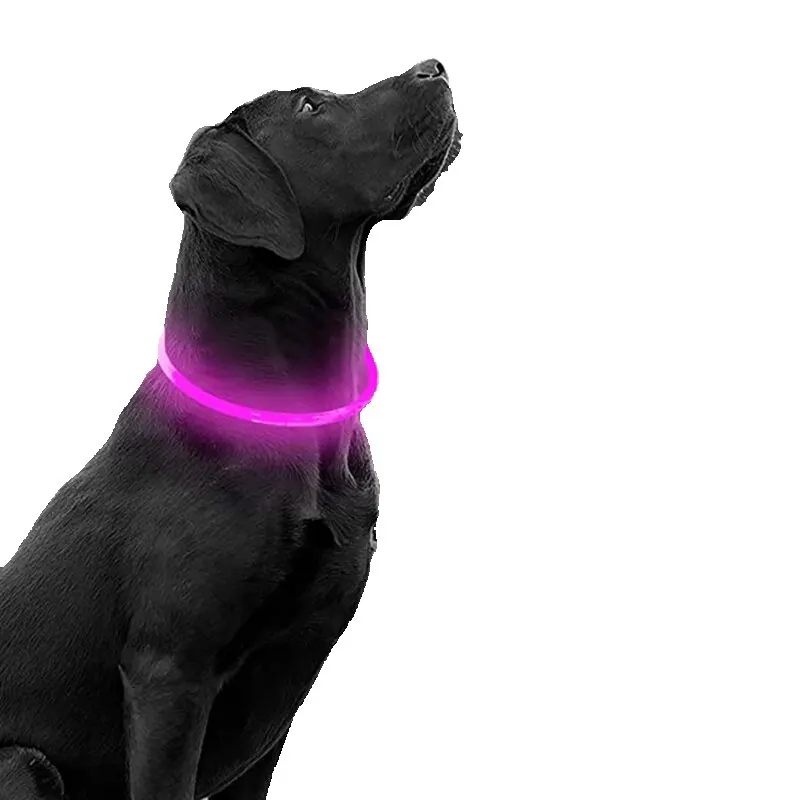 Collier de chien Led Usb collier de Charge lumineux de nuit pour chien de compagnie Led sécurité nocturne clignotant lueur collier de prévention de perte de chien accessoire pour animaux de compagnie
