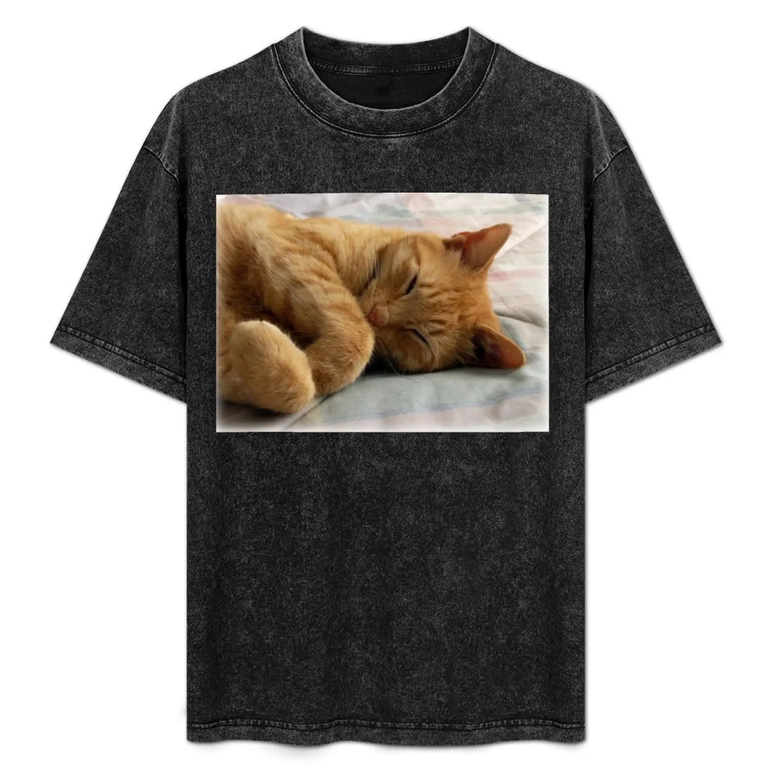 

Ginger Cat Sleeping T-Shirt Labor Work Casual T-Shirt