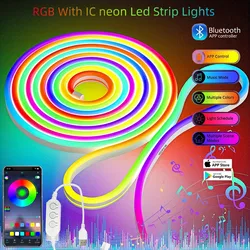 1/2/3M Smart Bluetooth APP USB LED RGBIC Neon Strip Light DC5V WS2812 Strip Light IP67 impermeabile LED nastro flessibile multicolore