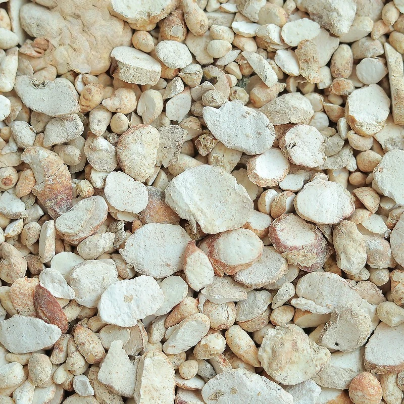 مختارة بينيليا تيرنتا