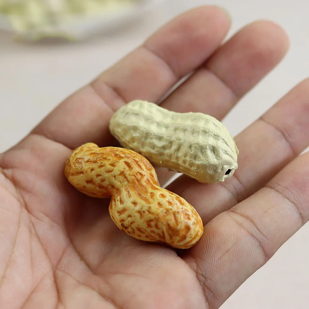

10pcs Simulation Peanut Ornament Lifelike Fake Dried Fruit Decor Photography Prop Educational Scene Adornment Craft Display