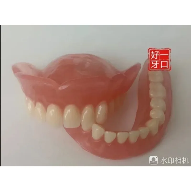 Full Dentures Elderly Dentures Oral Display Care Dentistry Elderly Model Denture Activity Simulation Denture Model