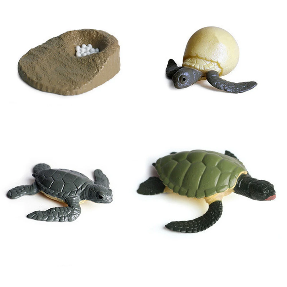 Material Chicken Insect Animals Plastic Models Life Cycle Figurine Simulation Animals Action Figures Growth Cycle Model