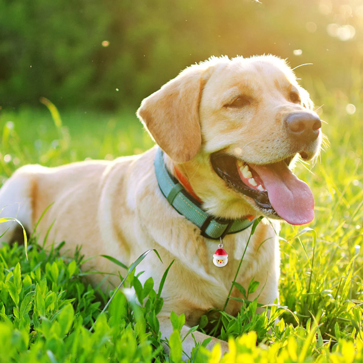 

10pcs Santa Claus Pet Collar Accessories Durable Iron Ringing Bell For Dogs Cats Quick Release Safety Buckle