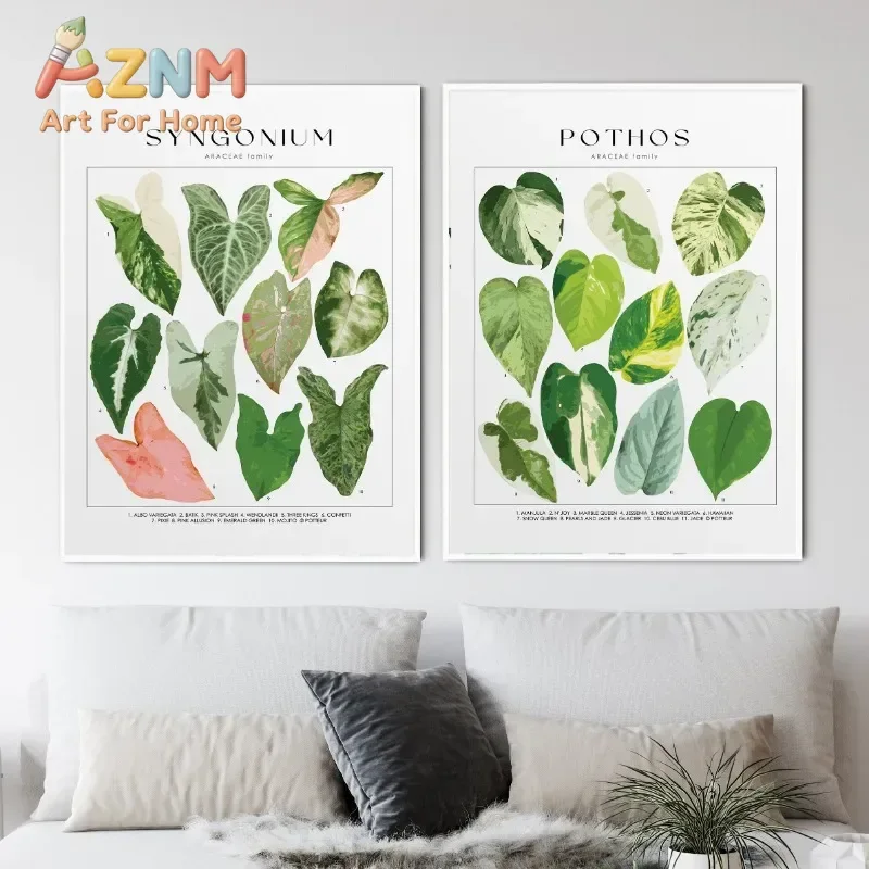 House Plant Identification Poster Botanical Names Picture Canvas Painting Wall Art for Living Room Home Decor Plants Lover Gift