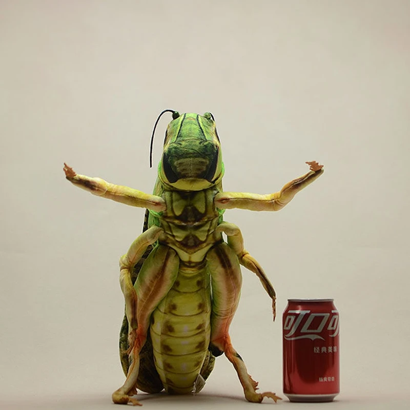 Simulation Insect Plush Toy Printed Grasshopper Stuffed Doll Decoration Teaching prop Gift 40cm 15.7inch DY10497