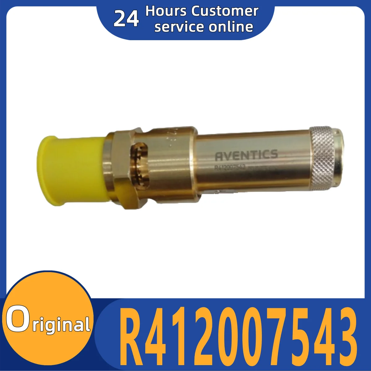 

Brand new original R412007543 pneumatic valve